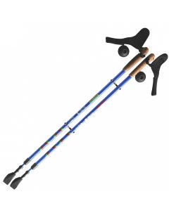 Палки для скандинавской ходьбы Ergo Nordic синий 110 140 см Ergoforce