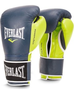 Боксерские перчатки Powerlock зеленый синий 16 унций Everlast