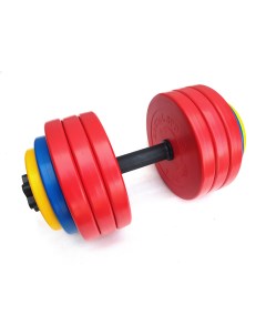 Гантель разборная 39 кг с цветными дисками Arizona sport