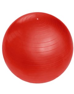 Мяч гимнастический 267 994 55см красный Sportage