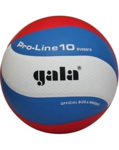 Волейбольный мяч Pro Line 10 Матчевый 5 blue white red Gala