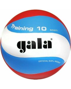 Мяч волейбольный Training 10 арт BV5561S р 5 синт кожа ПУ клееный бут кам б Gala