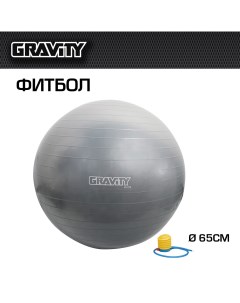 Фитбол Gymball DK2101 65 см серебристый с насосом Gravity