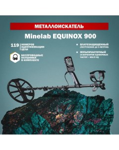 Металлоискатель Equinox 900 Minelab