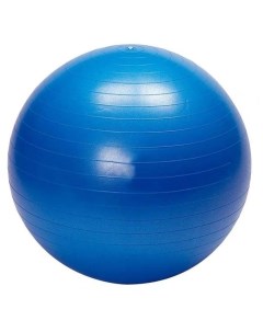 Мяч гимнастический Tempus 55см 22 700г антивзрыв арт LGB 1502 цв синий Nobrand