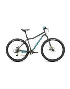 Горный велосипед Sporting 29 X D год 2022 цвет Серебристый Зеленый ростовка 19 Forward