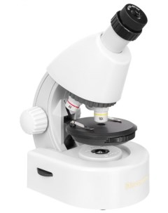 Микроскоп Micro Polar 77952 с книгой Discovery