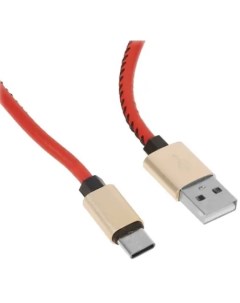 Кабель интерфейсный УТ000023427 брелок USB Type C 25 см красный Mobility