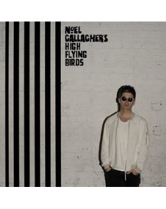 Noel Gallagher s High Flying Birds Chasing Yesterday 180g LP CD Sour mash