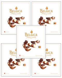 Конфеты шоколадные Seashells с начинкой пралине Seashells 190 г 5 шт Belgica