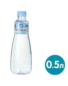 Вода питьевая негазированная 500мл Bashlam