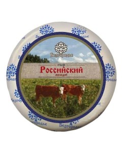 Сыр полутвердый Российский 35 Белгородье