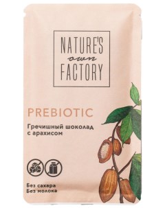 Гречишный шоколад NATURE S OWN FACTORY с арахисом 20 г Фабрика природы