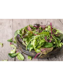 Салатная смесь Сицилия 100 г Green salad