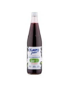 Нектар Черноплоднорябиновый 500 мл Yummy juice