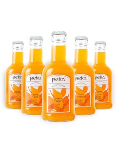 Натуральный лимонад Пихта апельсин абрикос 5 шт х 0 2 л Reka