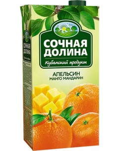 Напиток сокосодержащий апельсин манго мандарин 1 93 л Сочная долина