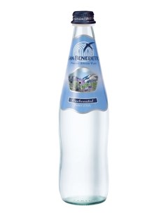 Вода питьевая негазированная стекло 0 5 л 20 штук в упаковке San benedetto
