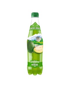 Газированный напиток фейхоа 0 48 л Ильинские лимонады