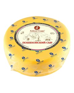 Сыр твердый Пошехонский 45 Азбука сыра