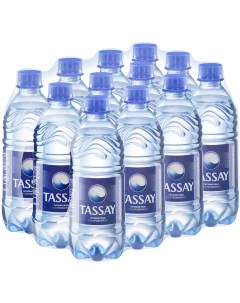 Минеральная вода газированная ПЭТ 12 шт по 0 5 л Tassay