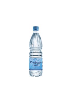 Вода минеральная негазированная 0 5 л Prolom voda