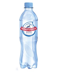 Вода питьевая Черноголовка негазированная 12 шт х 0 5 л Черноголовская