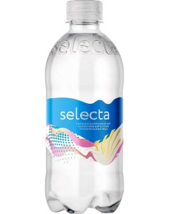 Вода питьевая газированная 0 5 л Selecta
