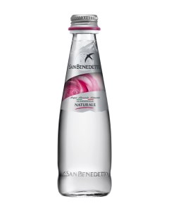 Вода питьевая негазированная стекло 0 25 л 24 штуки в упаковке San benedetto