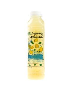Газированный напиток Лимонад имбирный 0 5 л Егорьевские традиции