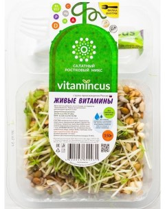 Салат микс проростков и микрозелени Живые витамины 150 г Vitamincus