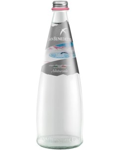 Вода питьевая негазированная стекло 0 75 л 12 штук в упаковке San benedetto