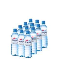 Вода питьевая вода негазированная 0 5 л 12 штук в упаковке Пилигрим