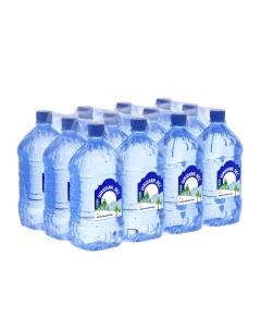 Вода питьевая негазированная пластик 1 л х 12 шт Шишкин лес