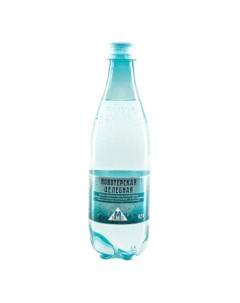 Вода минеральная целебная газированная пластик 0 5 л Новотерская