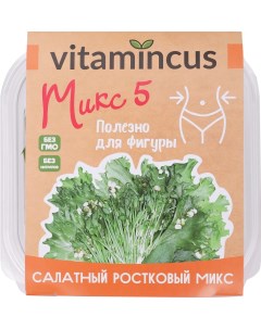 Салатный ростковый микс 5 в контейнере 100 г Vitamincus