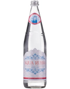 Вода питьевая газированная 1 л 6 штук в упаковке Aqua russa