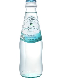 Вода Sparkling Glass газированная 0 25 л San cassiano