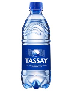 Вода минеральная газированная 0 5 л Tassay