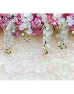Фотообои Розовые и белые орхидеи 6206 М Московская обойная фабрика