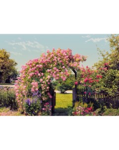 8 936 Фотообои Розовый сад 368смх2 54м бумажные Komar
