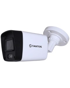 Видеокамера сетевая IP TSi P2FP Tantos