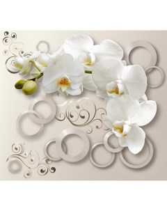 Фотообои Белая орхидея 6157 ML Московская обойная фабрика