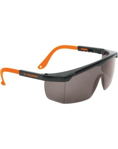 Защитные очки LEN 2000N 14213 темные с регулировками Truper