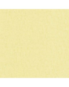Обои BN INTERNATIONAL Van Gogh 2 220078 Винил на флизелине 0 53х10 Желтый Штукатурка Bn-international