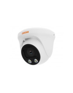 IP камера видеонаблюдения CAM 8885PSDA Carcam