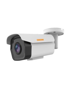 IP камера видеонаблюдения CAM 2688MPSDR Carcam