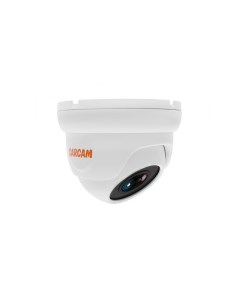 IP камера видеонаблюдения CAM 5878P Carcam