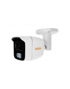 IP камера видеонаблюдения CAM 2662PL Carcam