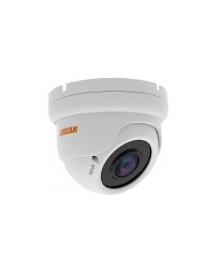 IP камера CAM 2876VPSD Carcam